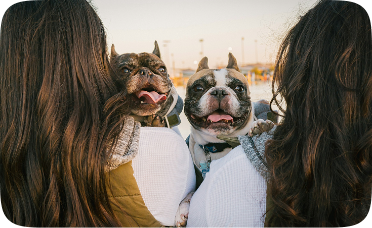 A couple of women outdoors holding two happy dogs. A couple of women outdoors holding two happy dogs.