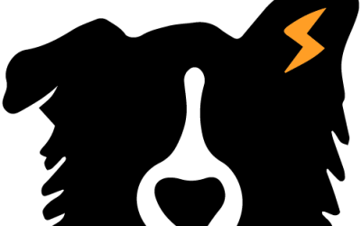 The Story behind the Logo