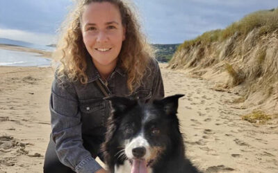 The Story behind Clever Animal Marketing