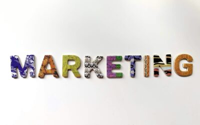 Why Outsourcing Your Marketing Could Be the Best Thing You Do for Your Pet Business