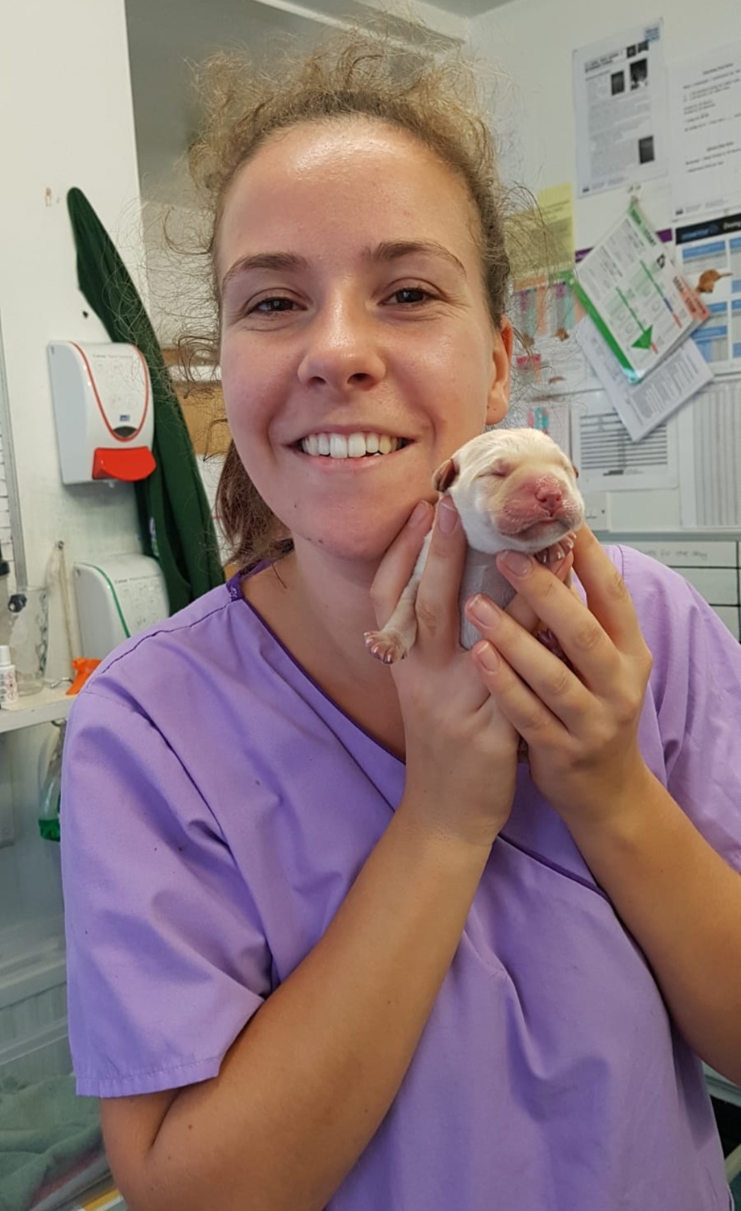 RVN marketing for pet-focused businesses